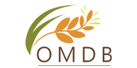 logo-2-67b9c843331ad